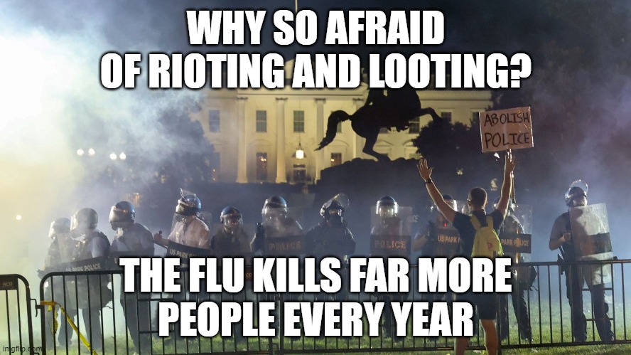 Living in Fear | WHY SO AFRAID
OF RIOTING AND LOOTING? THE FLU KILLS FAR MORE
PEOPLE EVERY YEAR | image tagged in covid-19,riots,donald trump,white house,death | made w/ Imgflip meme maker