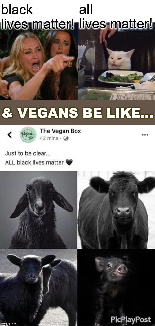 In these times of trouble: can we all at least agree vegans are the worst? | all lives matter! black lives matter! & VEGANS BE LIKE... | image tagged in woman yelling at cat,all black lives matter,vegan,vegans,black lives matter,politics lol | made w/ Imgflip meme maker