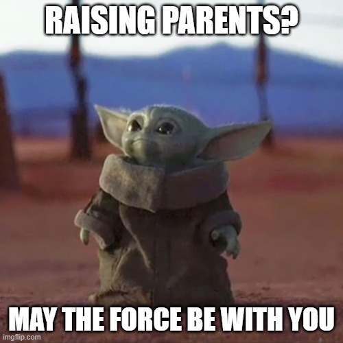 Raising Parents | RAISING PARENTS? MAY THE FORCE BE WITH YOU | image tagged in baby yoda | made w/ Imgflip meme maker