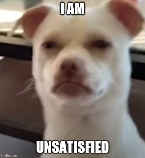 Le doggo | I AM; UNSATISFIED | image tagged in doggo,bruh | made w/ Imgflip meme maker