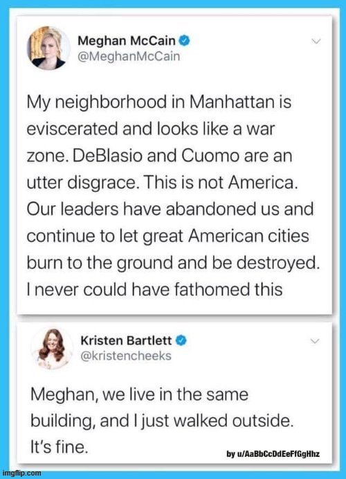 Brutal clapback lmao (repost) | image tagged in liberal vs conservative,conservative logic,riots,protest,police brutality,politics lol | made w/ Imgflip meme maker