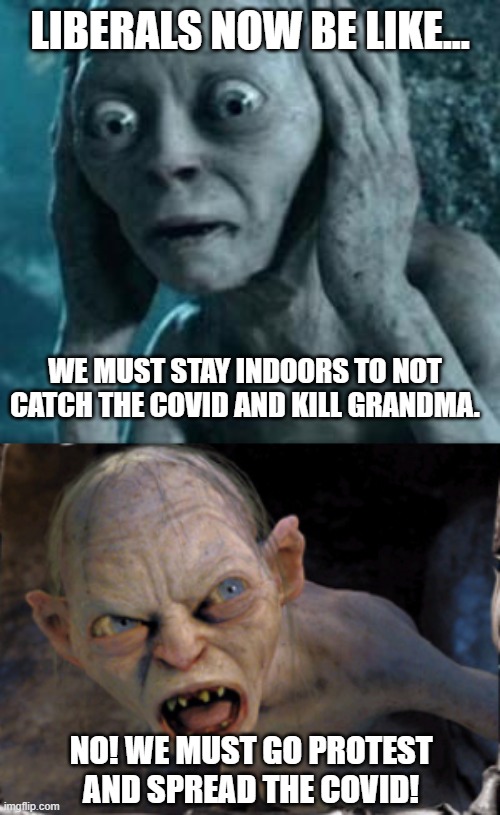 Go out or not go out? | LIBERALS NOW BE LIKE... WE MUST STAY INDOORS TO NOT CATCH THE COVID AND KILL GRANDMA. NO! WE MUST GO PROTEST AND SPREAD THE COVID! | image tagged in scared gollum,gollum lord of the rings,covid-19 | made w/ Imgflip meme maker