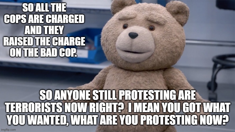 Terrorism is not protesting.  Not ever.  IN fact it makes people hate you. | SO ALL THE COPS ARE CHARGED AND THEY RAISED THE CHARGE ON THE BAD COP. SO ANYONE STILL PROTESTING ARE TERRORISTS NOW RIGHT?  I MEAN YOU GOT WHAT YOU WANTED, WHAT ARE YOU PROTESTING NOW? | image tagged in ted question | made w/ Imgflip meme maker