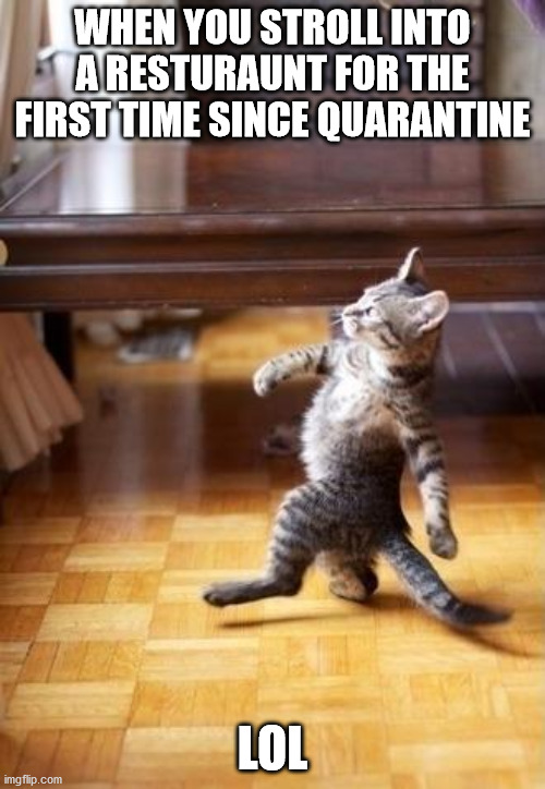 My life B like | WHEN YOU STROLL INTO A RESTURAUNT FOR THE FIRST TIME SINCE QUARANTINE; LOL | image tagged in memes,cool cat stroll,funny,cats | made w/ Imgflip meme maker