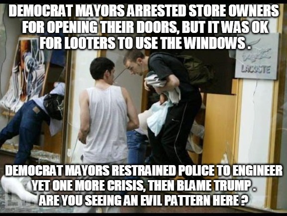 Democrat Mayors Won't Arrest Looters | DEMOCRAT MAYORS ARRESTED STORE OWNERS
 FOR OPENING THEIR DOORS, BUT IT WAS OK
 FOR LOOTERS TO USE THE WINDOWS . DEMOCRAT MAYORS RESTRAINED POLICE TO ENGINEER
YET ONE MORE CRISIS, THEN BLAME TRUMP .
ARE YOU SEEING AN EVIL PATTERN HERE ? | image tagged in democrat,store,looter,looting,crisis,evil | made w/ Imgflip meme maker