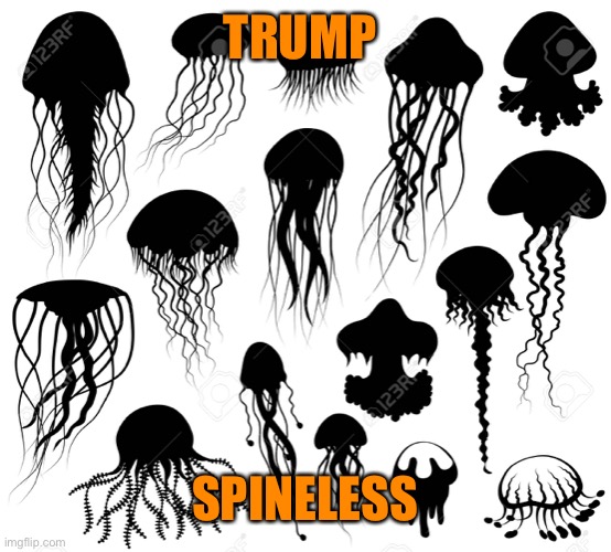 TRUMP SPINELESS | made w/ Imgflip meme maker