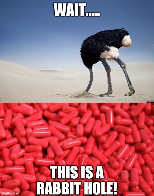 WAIT..... THIS IS A RABBIT HOLE! | image tagged in ostrich head in sand,blue or red pill | made w/ Imgflip meme maker