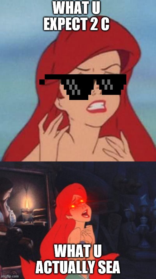 WHAT U EXPECT 2 C; WHAT U ACTUALLY SEA | image tagged in memes,hipster ariel,ariel | made w/ Imgflip meme maker