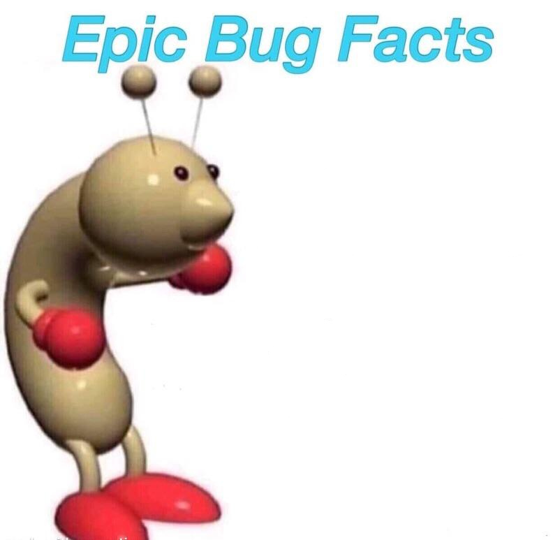 High Quality Epic Bug Facts Blank Meme Template