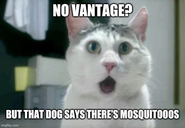 OMG Cat Meme | NO VANTAGE? BUT THAT DOG SAYS THERE'S MOSQUITOOOS | image tagged in memes,omg cat | made w/ Imgflip meme maker