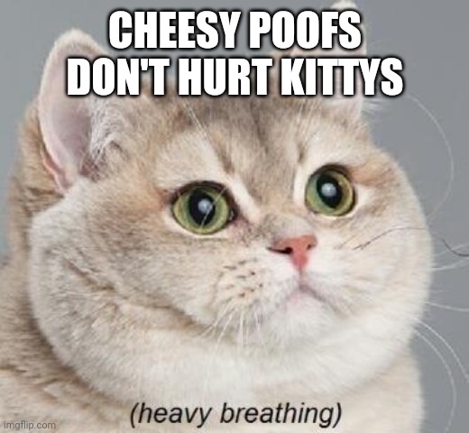 Heavy Breathing Cat | CHEESY POOFS DON'T HURT KITTYS | image tagged in memes,heavy breathing cat | made w/ Imgflip meme maker