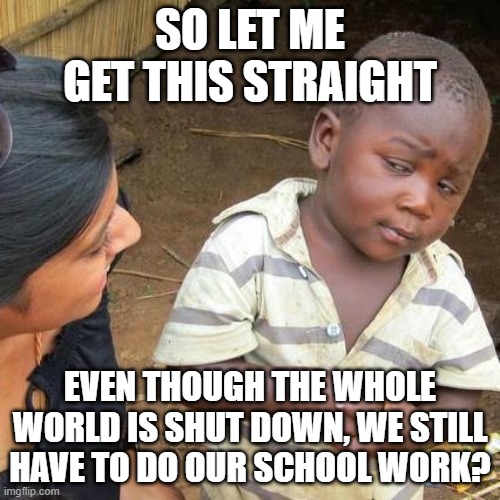 Third World Skeptical Kid | SO LET ME GET THIS STRAIGHT; EVEN THOUGH THE WHOLE WORLD IS SHUT DOWN, WE STILL HAVE TO DO OUR SCHOOL WORK? | image tagged in memes,third world skeptical kid | made w/ Imgflip meme maker