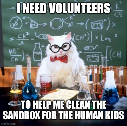 Chemistry Cat | I NEED VOLUNTEERS; TO HELP ME CLEAN THE SANDBOX FOR THE HUMAN KIDS | image tagged in memes,chemistry cat | made w/ Imgflip meme maker