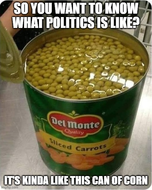 Can a Carrots | SO YOU WANT TO KNOW WHAT POLITICS IS LIKE? IT'S KINDA LIKE THIS CAN OF CORN | image tagged in can a carrots | made w/ Imgflip meme maker