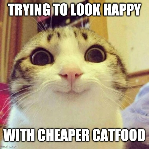 Smiling Cat Meme | TRYING TO LOOK HAPPY; WITH CHEAPER CATFOOD | image tagged in memes,smiling cat | made w/ Imgflip meme maker