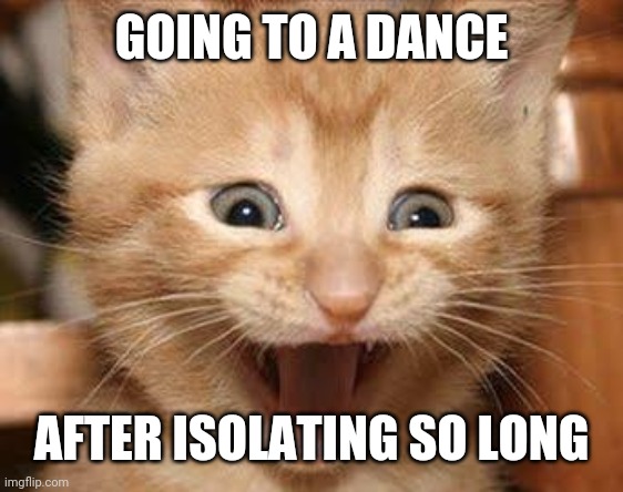 Excited Cat | GOING TO A DANCE; AFTER ISOLATING SO LONG | image tagged in memes,excited cat | made w/ Imgflip meme maker