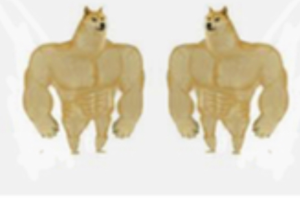 Buff doge vs crying cheeks but both are buff doge Blank Meme Template