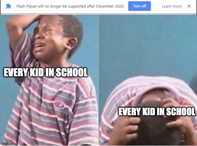 adobe flash | EVERY KID IN SCHOOL; EVERY KID IN SCHOOL | image tagged in crying boy | made w/ Imgflip meme maker