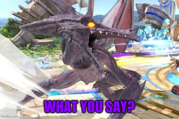 ridley getting mad | WHAT YOU SAY? | image tagged in ridley getting mad | made w/ Imgflip meme maker