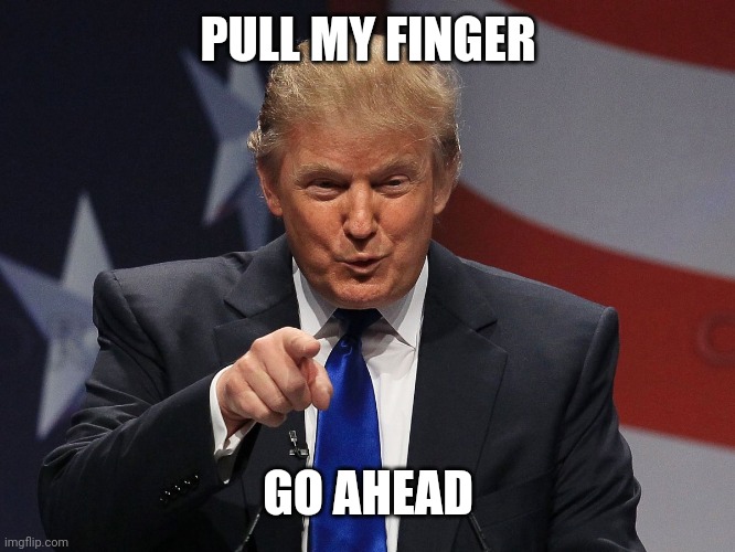 Donald trump | PULL MY FINGER; GO AHEAD | image tagged in donald trump | made w/ Imgflip meme maker