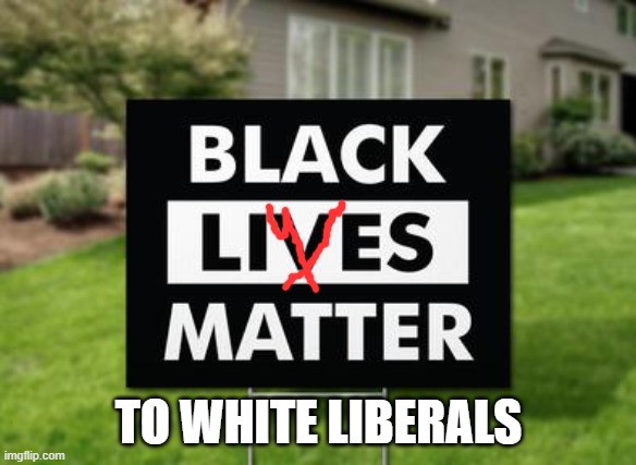 politics | TO WHITE LIBERALS | image tagged in political meme | made w/ Imgflip meme maker