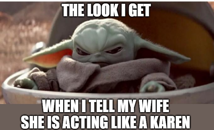 Tell wife she is karen | THE LOOK I GET; WHEN I TELL MY WIFE SHE IS ACTING LIKE A KAREN | image tagged in angry baby yoda,karen | made w/ Imgflip meme maker