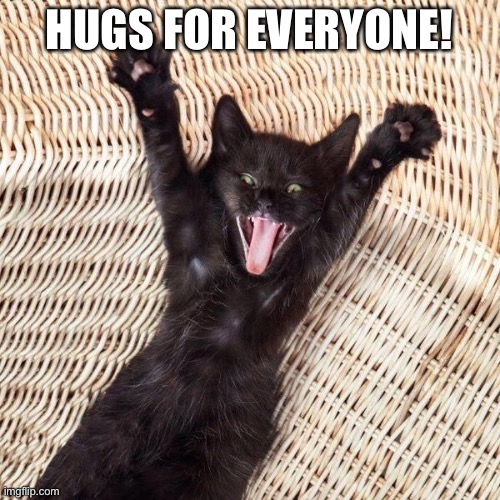 This cat had to much catnip | HUGS FOR EVERYONE! | image tagged in cat,crazy | made w/ Imgflip meme maker