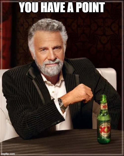 YOU HAVE A POINT | image tagged in memes,the most interesting man in the world | made w/ Imgflip meme maker