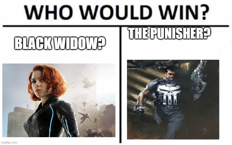Who Would Win? Meme | THE PUNISHER? BLACK WIDOW? | image tagged in memes,who would win | made w/ Imgflip meme maker