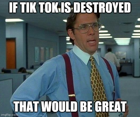 Tik Tok Sucks | IF TIK TOK IS DESTROYED; THAT WOULD BE GREAT | image tagged in memes,that would be great | made w/ Imgflip meme maker