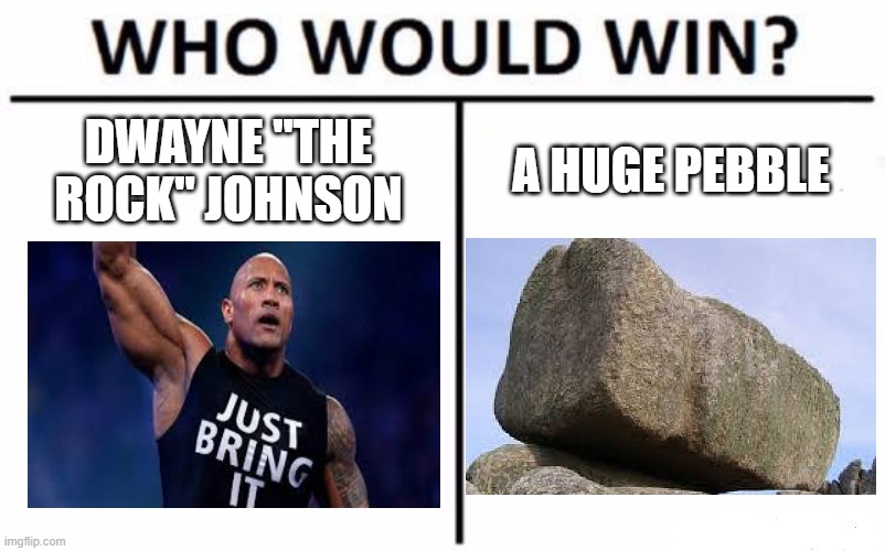Who would win? | DWAYNE "THE ROCK" JOHNSON; A HUGE PEBBLE | image tagged in memes,who would win | made w/ Imgflip meme maker