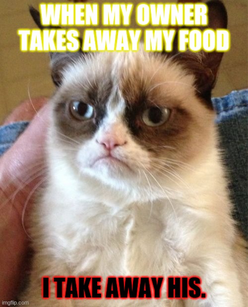 Grumpy Cat Meme | WHEN MY OWNER TAKES AWAY MY FOOD; I TAKE AWAY HIS. | image tagged in memes,grumpy cat | made w/ Imgflip meme maker