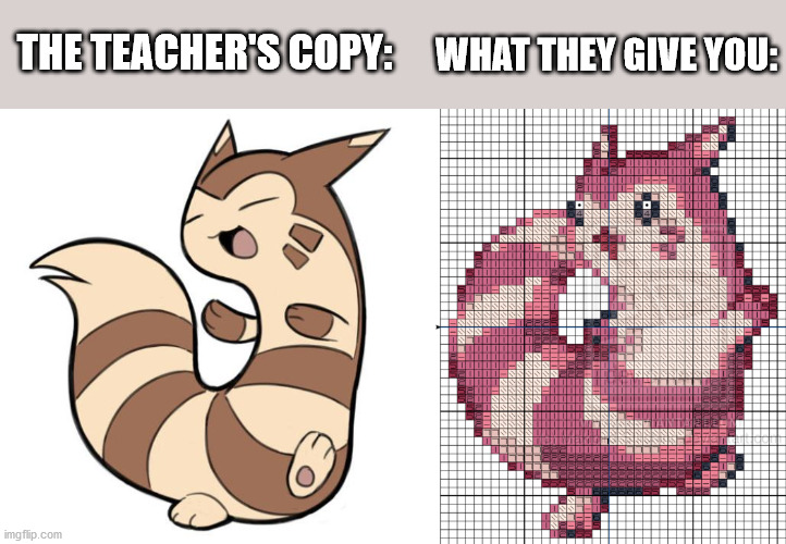 I just had to make a Furret version of this | THE TEACHER'S COPY:; WHAT THEY GIVE YOU: | image tagged in memes,pokemon,copy,school | made w/ Imgflip meme maker
