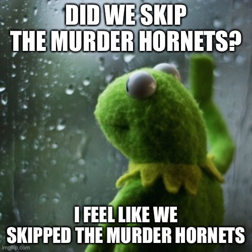 Skipped right into looting and burning | DID WE SKIP THE MURDER HORNETS? I FEEL LIKE WE SKIPPED THE MURDER HORNETS | image tagged in sometimes i wonder,murder hornet,looting,arson,covid-19,memes | made w/ Imgflip meme maker