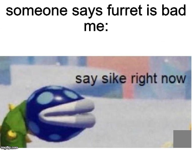 yes pls now | someone says furret is bad
me: | image tagged in say sike right now,furret | made w/ Imgflip meme maker