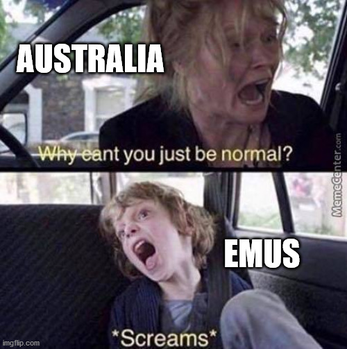 Hehehehehehehehehhehehehehehehehhehehehehehehheheheheheheheheheheheheheheheheheheheheheheheheheheheheheheheheheheheheheheheheheh | AUSTRALIA; EMUS | image tagged in why can't you just be normal,memes,emu,australia,history | made w/ Imgflip meme maker