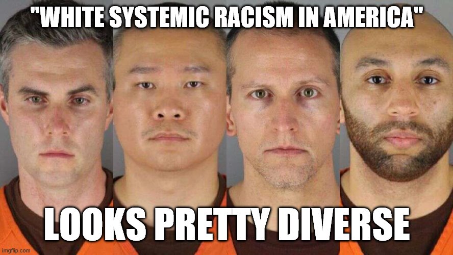 The 4 Cops | "WHITE SYSTEMIC RACISM IN AMERICA"; LOOKS PRETTY DIVERSE | image tagged in the 4 cops | made w/ Imgflip meme maker
