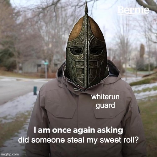 Bernie I Am Once Again Asking For Your Support | whiterun guard; did someone steal my sweet roll? | image tagged in memes,bernie i am once again asking for your support | made w/ Imgflip meme maker