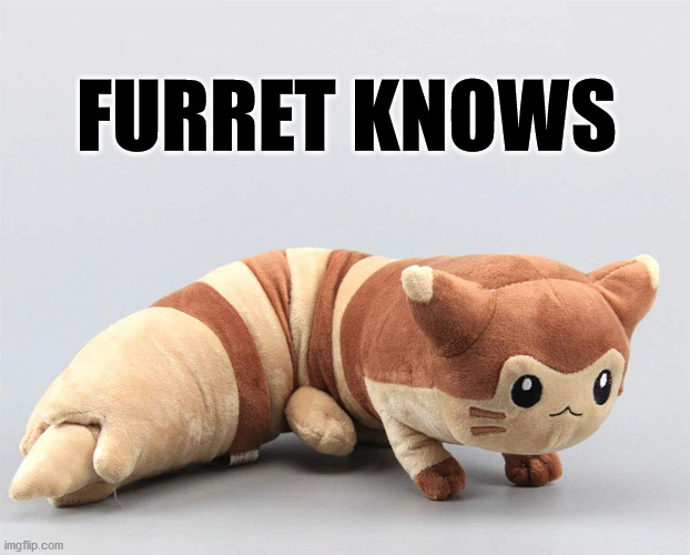 FURRET KNOWS | made w/ Imgflip meme maker