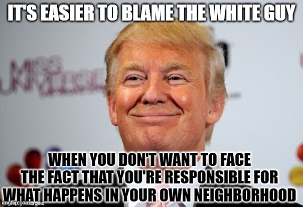 As it has been said "It's always easier to pass the buck!" | IT'S EASIER TO BLAME THE WHITE GUY; WHEN YOU DON'T WANT TO FACE THE FACT THAT YOU'RE RESPONSIBLE FOR WHAT HAPPENS IN YOUR OWN NEIGHBORHOOD | image tagged in donald trump approves,liberal vs conservative,riots,responsibility,looters,black lives matter | made w/ Imgflip meme maker