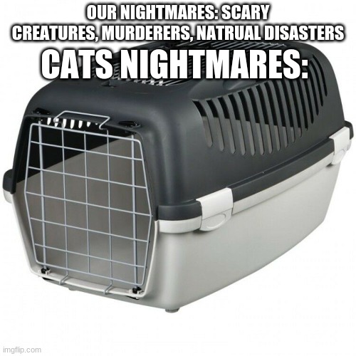 The Stuff Of Nightmares | OUR NIGHTMARES: SCARY CREATURES, MURDERERS, NATRUAL DISASTERS; CATS NIGHTMARES: | image tagged in memes | made w/ Imgflip meme maker