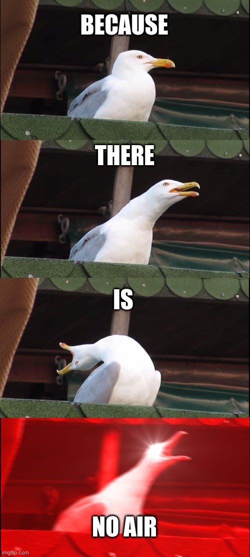 BECAUSE THERE IS NO AIR | image tagged in memes,inhaling seagull | made w/ Imgflip meme maker