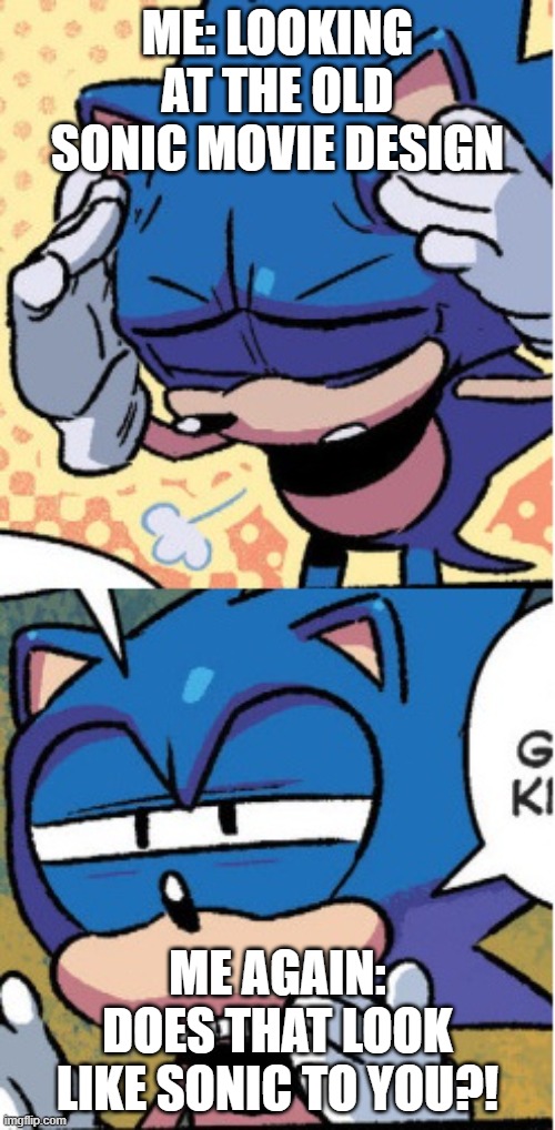 Are you serious? | ME: LOOKING AT THE OLD SONIC MOVIE DESIGN; ME AGAIN: DOES THAT LOOK LIKE SONIC TO YOU?! | image tagged in sonic boi,sonic the hedgehog | made w/ Imgflip meme maker