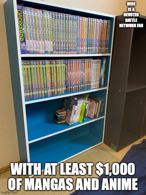 Battle Network Fan | HERE IS A DEVOTED BATTLE NETWORK FAN; WITH AT LEAST $1,000 OF MANGAS AND ANIME | image tagged in megaman battle network,megaman,memes | made w/ Imgflip meme maker