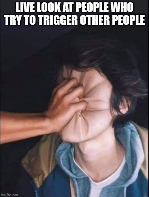 Stop Triggering People!!! | LIVE LOOK AT PEOPLE WHO TRY TO TRIGGER OTHER PEOPLE | image tagged in grab face | made w/ Imgflip meme maker