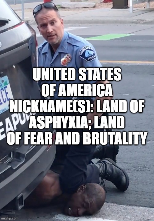 United States of America. Nickname(s): Land of Asphyxia; Land of Fear and Brutality | UNITED STATES OF AMERICA
NICKNAME(S): LAND OF ASPHYXIA; LAND OF FEAR AND BRUTALITY | image tagged in derek chauvinist pig | made w/ Imgflip meme maker