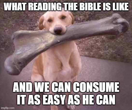 dog bone | WHAT READING THE BIBLE IS LIKE; AND WE CAN CONSUME IT AS EASY AS HE CAN | image tagged in dog bone | made w/ Imgflip meme maker