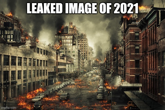  LEAKED IMAGE OF 2021 | image tagged in apocalypse,2020,covid-19,riots,murder hornet,what the heck | made w/ Imgflip meme maker