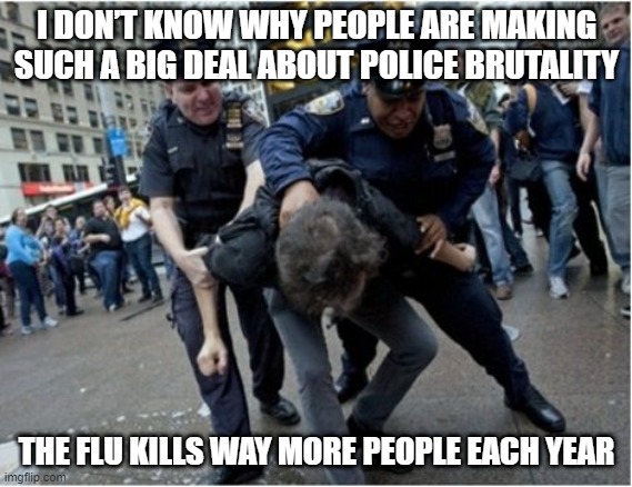 True | I DON’T KNOW WHY PEOPLE ARE MAKING SUCH A BIG DEAL ABOUT POLICE BRUTALITY; THE FLU KILLS WAY MORE PEOPLE EACH YEAR | image tagged in police brutality | made w/ Imgflip meme maker