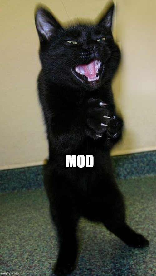 evil cat | MOD | image tagged in evil cat | made w/ Imgflip meme maker
